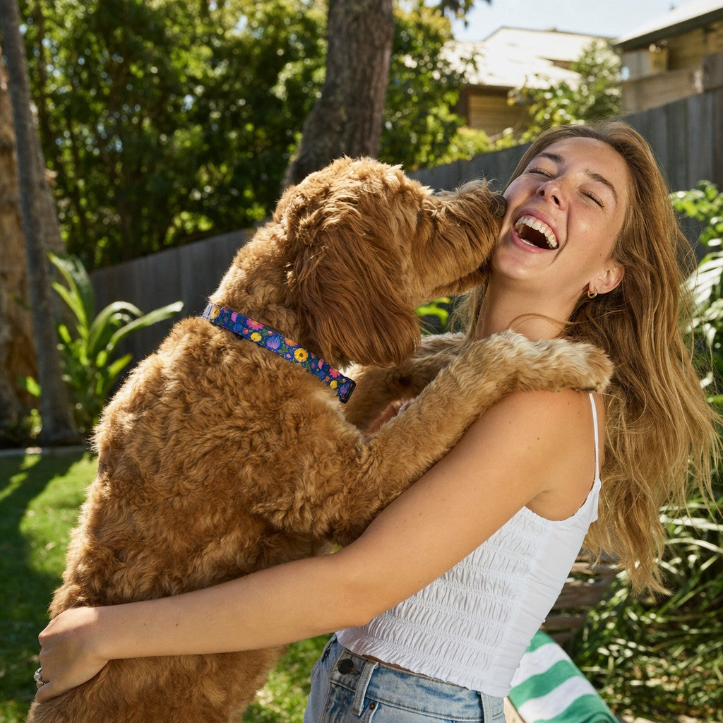 Wild Joy moment — Dog Collar