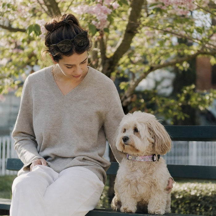 Quiet Blossom moment — Dog Collar