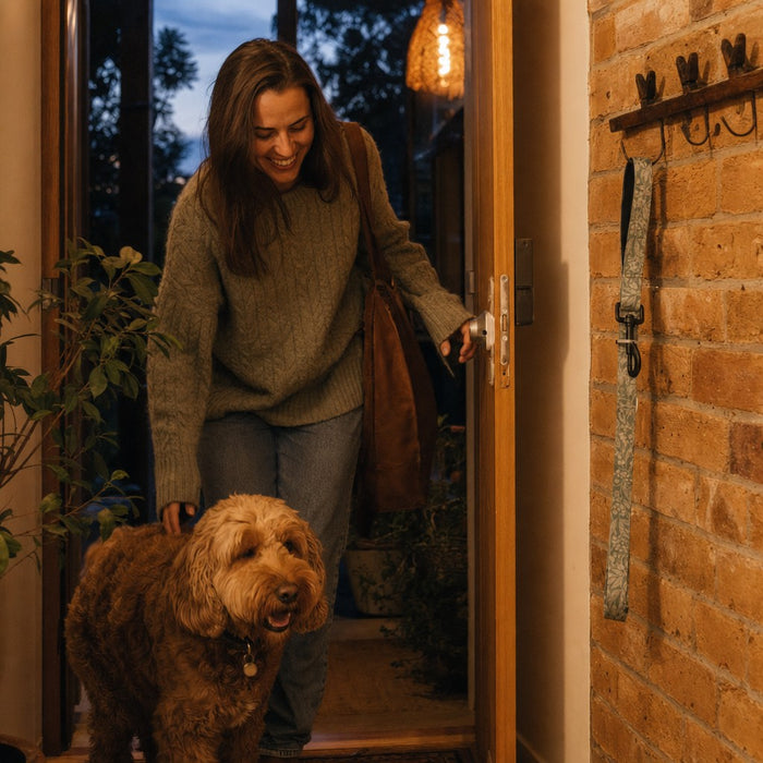 Home moment — Dog Leash