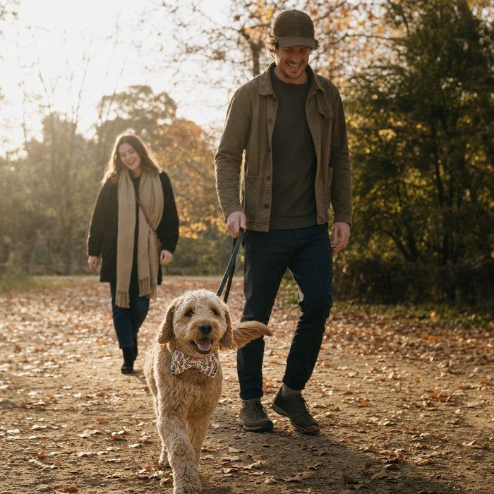 Falling Free moment — Dog Bow Tie